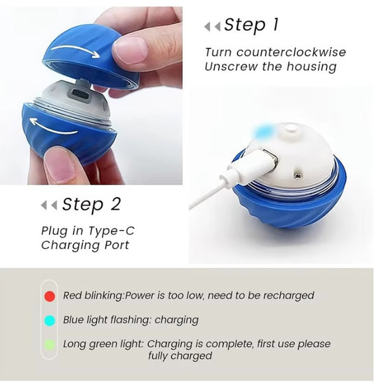 Charging smart dog toy with USB Type-C