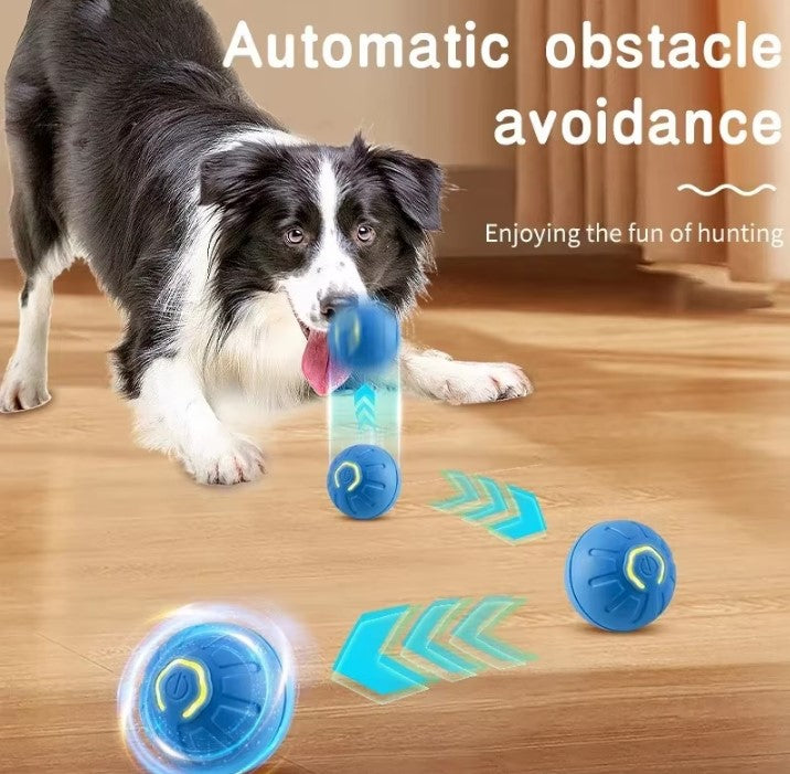 Interactive Smart Bouncing Ball for Dogs – 2" Motion Toy with Type-C Rechargeable Cable