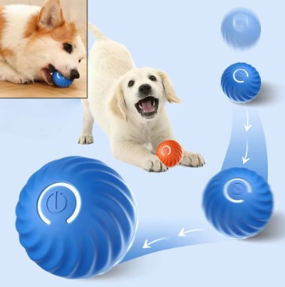 Dog playing with blue interactive ball
